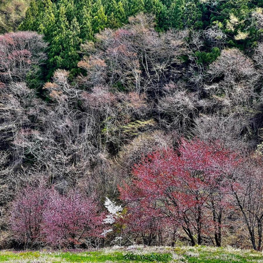 Hotel Sejour Mint Hakuba Exterior foto